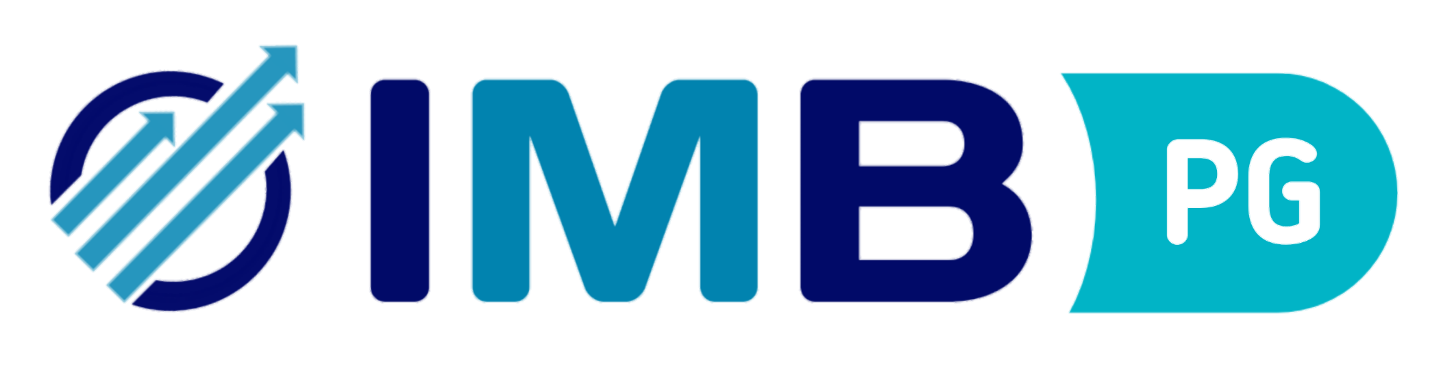 Imb Logo